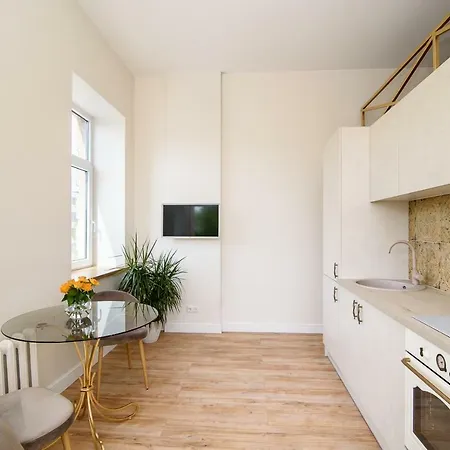 Cozy City Center Apartment Wilna
